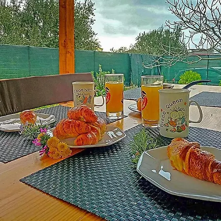 Nyaraló Ferienhaus Fuer 4 Personen Ca 50 Qm In Orebic, Dalmatien Sueddalmatien Orebić